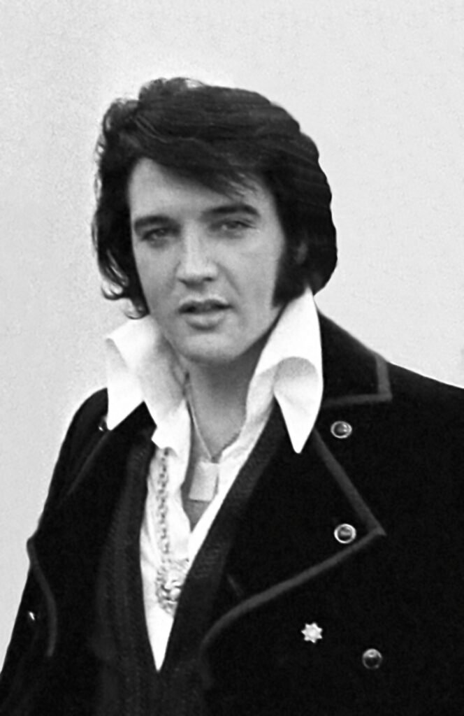 Hound Dog by Elvis Presley