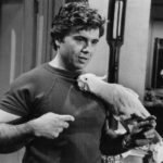 Robert Blake as Baretta with Fred the cockatoo