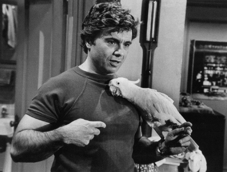 Robert Blake as Baretta with Fred the cockatoo
