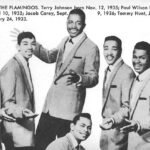 The Flamingos