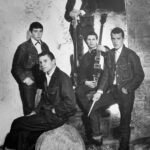 The Animals